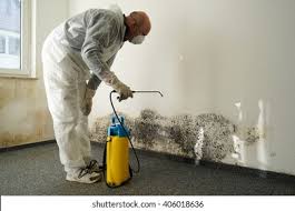 Biohazard Mold Removal in Chevy Chase View, MD